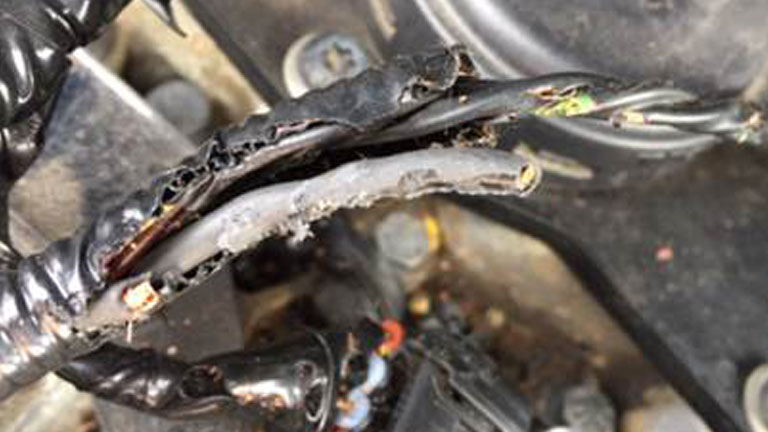 rodent resistant wiring for garbage trucks